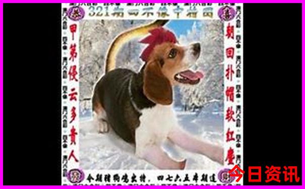 丹东市旅游景点有哪些